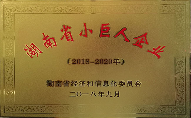 PA视讯(亚洲区)官网 - PlayAce